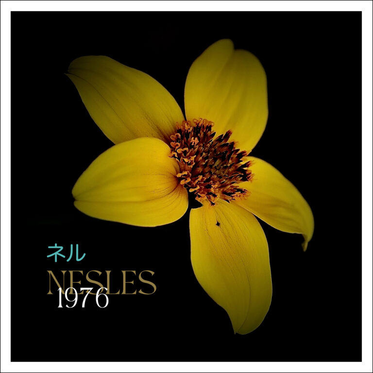 NESLES - BAROCCO - Digital SIngle / Artwork by Pascal Blua - 2025