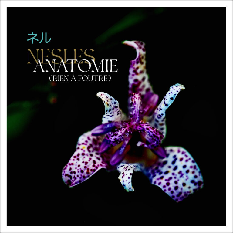 NESLES - BAROCCO - Digital SIngle / Artwork by Pascal Blua - 2025